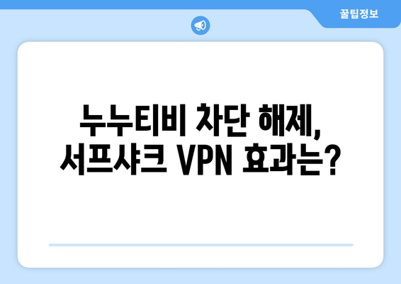 서프샤크 VPN을 통한 누누티비 접속 후기