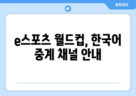 e스포츠 월드컵: 한국 경기 일정과 한국어 중계 안내