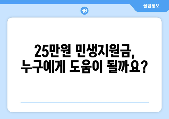 25만원 민생지원금: 생활유지비 지원에 필요한 자금 마련