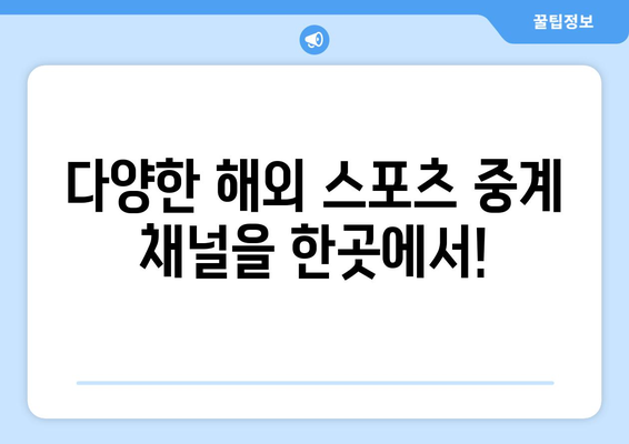 해외 스포츠 중계 실시간 시청하기