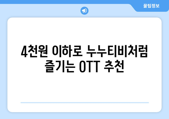 누누티비 대체 OTT: 한달 4천원 미만으로 즐기기