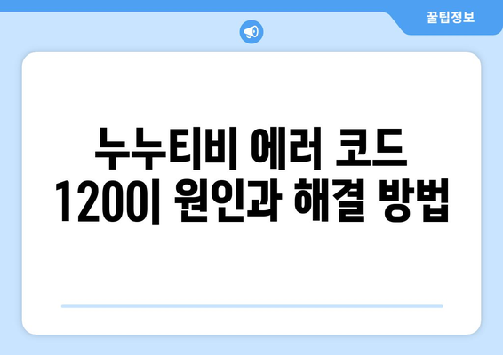 누누티비 에러 코드 1200: 비디오 재생 중 오류