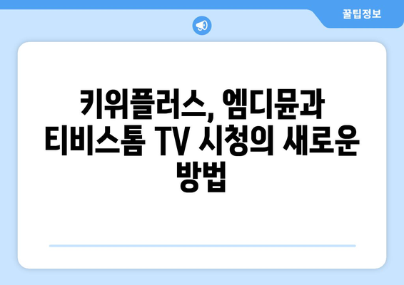 키위플러스 기기로 엠디뮨와 티비스톰 TV 시청 즐기기