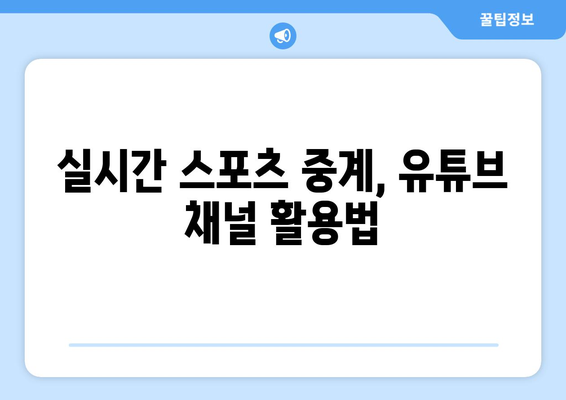 실시간 스포츠 중계를 위한 유튜브 활용