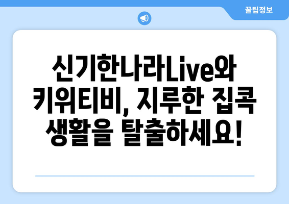 집콕 생활의 구원자: 신기한나라Live와 키위티비