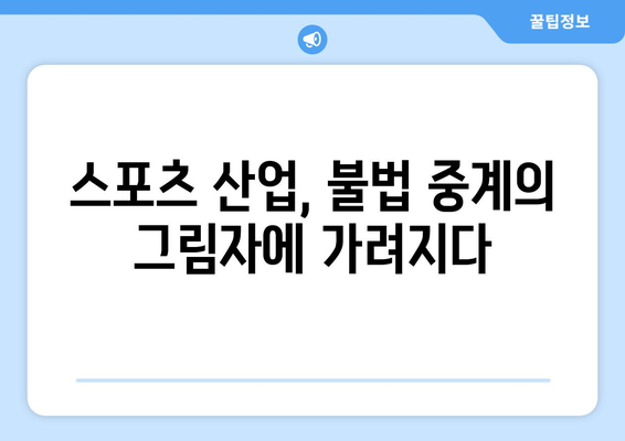 불법 스포츠 중계의 경제적 비용