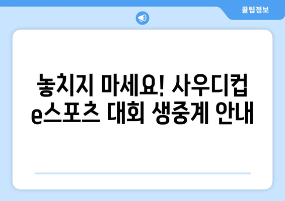 사우디컵 e스포츠 대회 일정과 중계 안내