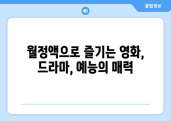 합리적인 가격으로 영화, 드라마, 예능을 즐기기