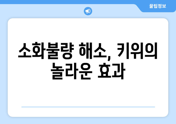 식사 후 하루 키위 한 개로 얻는 놀라운 건강상 이점