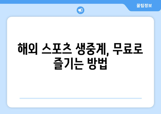 무료 해외 스포츠 중계 시청