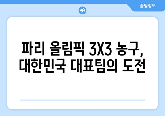 2024년 파리 올림픽 3X3 농구 정보 및 픽토그램