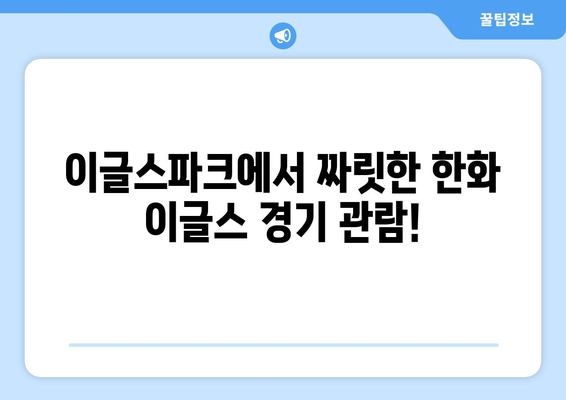 대전 야구 관람 명소: 한화생명 이글스파크 입장 및 경기 일정