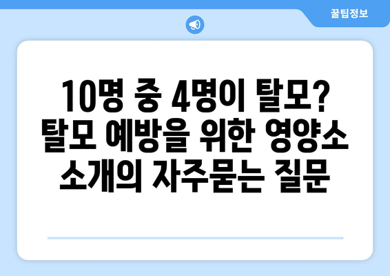 10명 중 4명이 탈모? 탈모 예방을 위한 영양소 소개