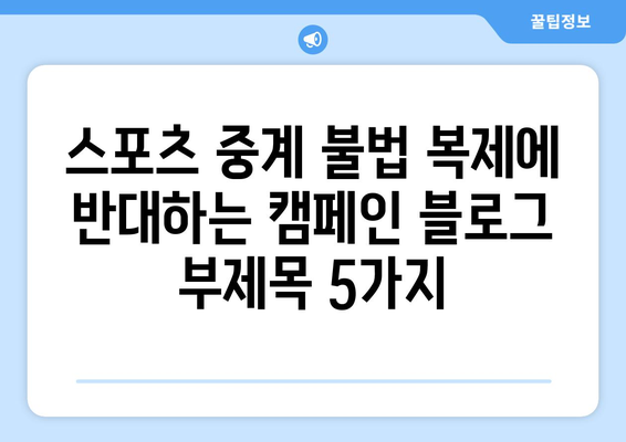 스포츠 중계 불법 복제에 반대하는 캠페인