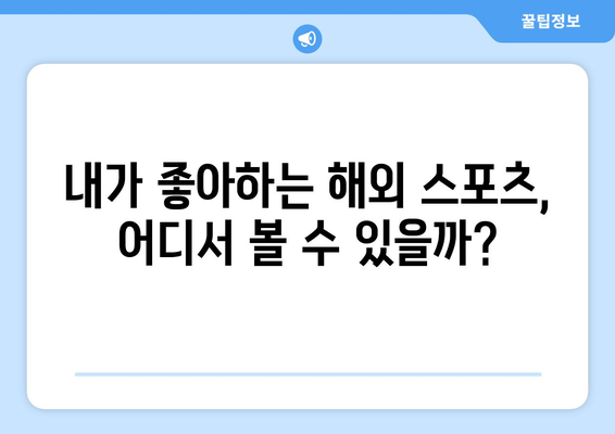 해외 스포츠 중계 및 실시간 중계 안내