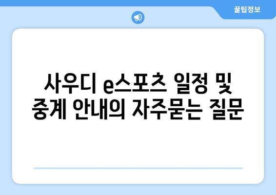 사우디 e스포츠 일정 및 중계 안내