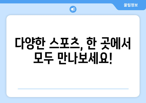 해외 스포츠 중계를 실시간 시청하고 다시보기