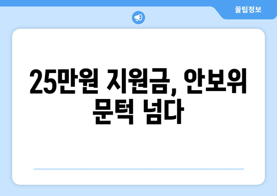 "25만원지원금" 논란이 국회 안보위 통과