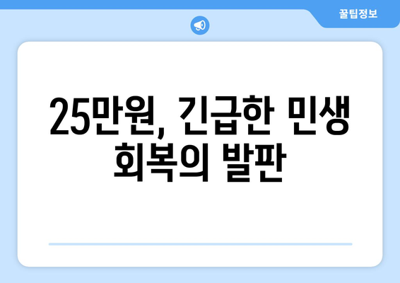 이재명의 25만원 민생 회복 지원금: 차리리보다 나은 선택