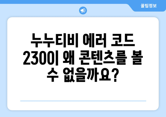 누누티비 에러 코드 2300: 콘텐츠 제한 관련 오류