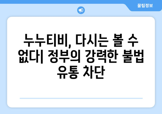 누누티비 재발 방지: 정부, 불법정보 우회 유통 차단 추진