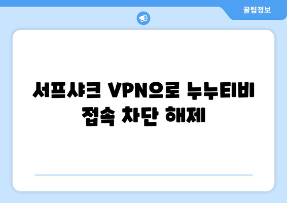 누누티비와 안전한 VPN 서프샤크의 기능