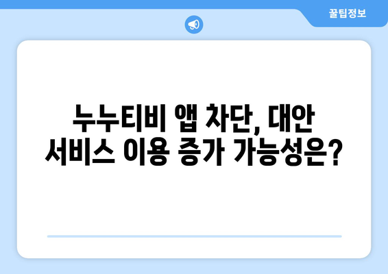 누누티비 전용 앱의 차단 피해 가능성 분석