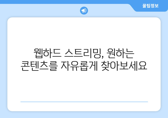 티비위키 대신 웹하드 스트리밍을 위한 가이드