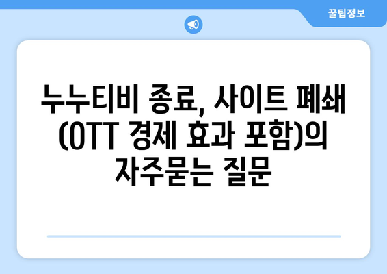 누누티비 종료, 사이트 폐쇄 (OTT 경제 효과 포함)