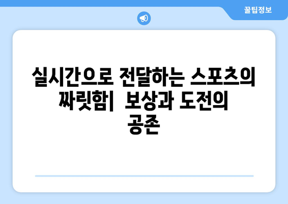 라이브 스포츠 중계의 도전과 보상