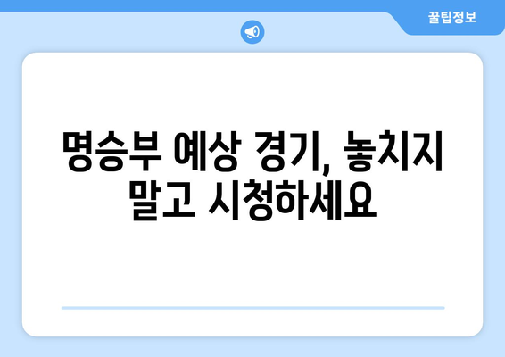 국내 및 해외 스포츠 중계 추천픽 분석