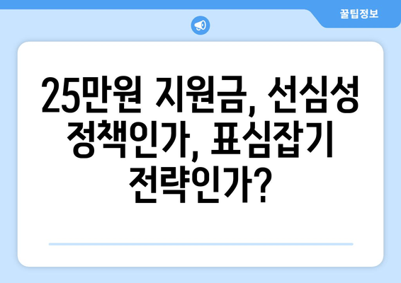 이재명의 민생회복지원금 25만원: 사후 매표 행위 의혹