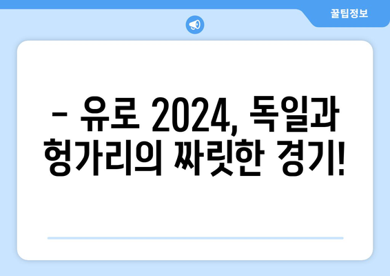 유로 2024 중계 독일 vs 헝가리