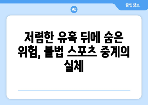 불법 스포츠 중계: 피해자의 이야기