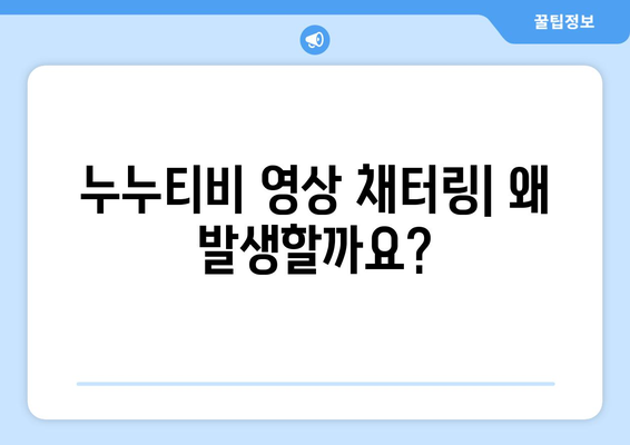 누누티비 에러 코드 2700: 영상 채터링 문제