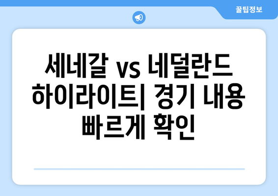 2024년 월드컵 세네갈 vs 네덜란드 중계 방송권 및 중계 옵션