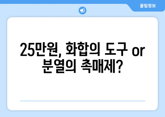 25만원 지원금: 정치적 갈등의 원천인가 국민 화합의 기반인가?