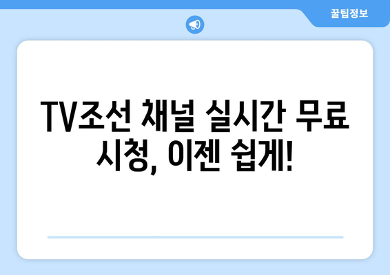 축구, 드라마, 예능까지! TV조선 온에어 무료 시청 가이드