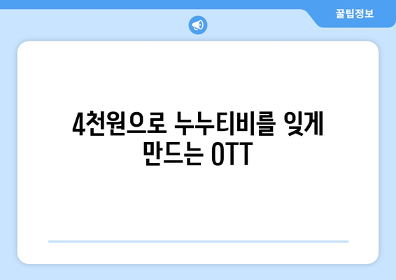 누누티비 대신 4천원으로 OTT 구독하기