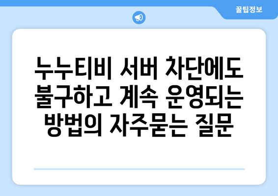 누누티비 서버 차단에도 불구하고 계속 운영되는 방법