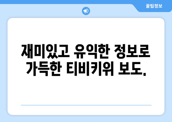 티비키위 보도에서 한 눈에 보기: 유익하고 즐거운 정보