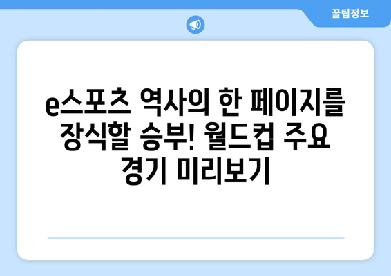 e스포츠 월드컵 조 편성 및 중계 시간표