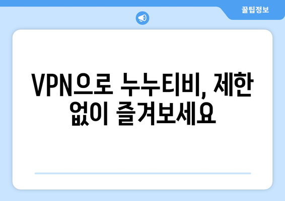 안전한 VPN을 통한 누누티비에 대한 접근성