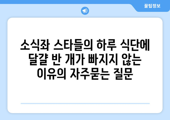 소식좌 스타들의 하루 식단에 달걀 반 개가 빠지지 않는 이유