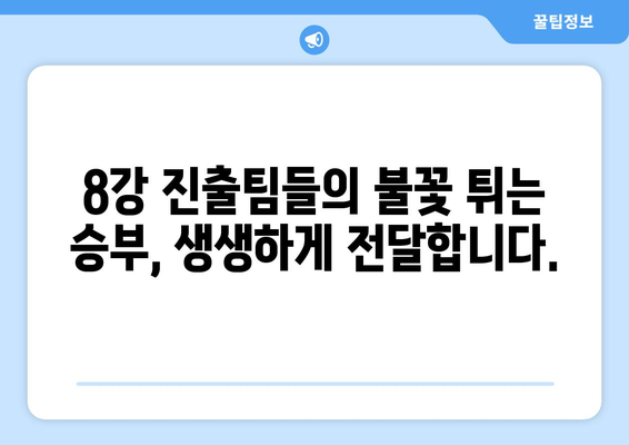 코파 아메리카 2024 8강 중계 소개