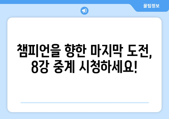 코파 아메리카 2024 8강 중계 소개