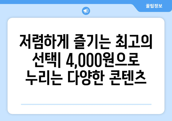 달에 4,000원으로 OTT 이용 가능한 플랫폼