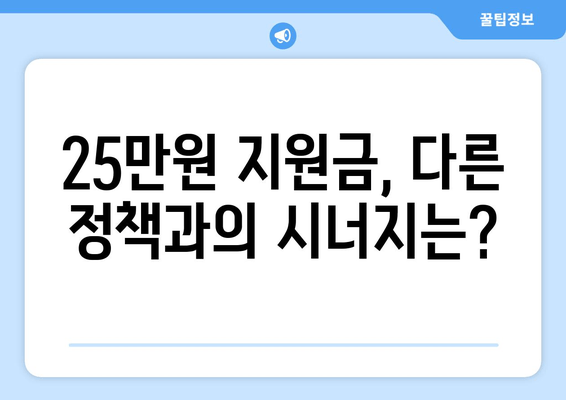 경제 이슈 분석: 25만원 민생 지원금