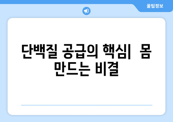 스타들의 한 끼 식사에 달걀을 포함한 이유