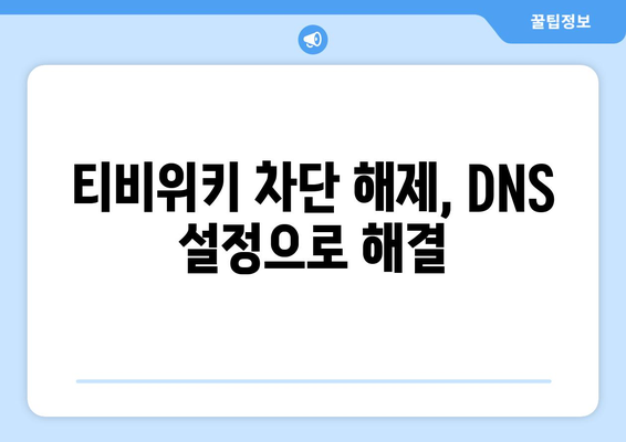 티비위키 주소 우회를 위한 DNS 설정 변경법